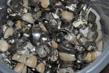 ネット買取