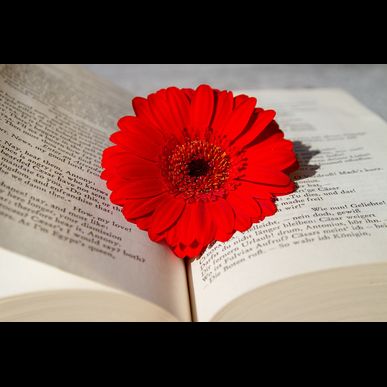 歯科金属の精錬を依頼するならエチュードへ